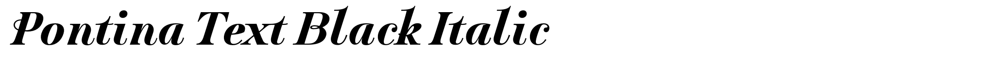 Pontina Text Black Italic image